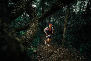 BIB: 
                            <button type="button" onclick="openModal(25682880)" class="btn btn-primary btn-sm float-right btn-popup" data-toggle="modal" data-target=".modal-high-quality">
                        <i class="fas fa-shopping-cart"></i> Add to Cart
                    </button>
                                            <button type="button" onclick="isThisMe(25682880, true)" class="btn btn-success btn-sm float-right btn-popup btn-isme hidden" data-toggle="tooltip" data-placement="bottom" title="นี่คือรูปของคุณใช่ไหม คลิกที่นี่เพื่อเอาเข้าอัลบั้ม">
                        <i class="fas fa-plus"></i> Add to album
                    </button>
                    <button type="button" onclick="isThisMe(25682880, false)" class="btn btn-warning btn-sm float-right btn-popup btn-isnotme hidden">
                        <i class="fas fa-ban"></i> Remove from album
                    </button>